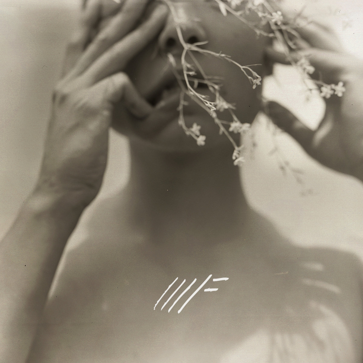Mother Falcon - You Knew album cover