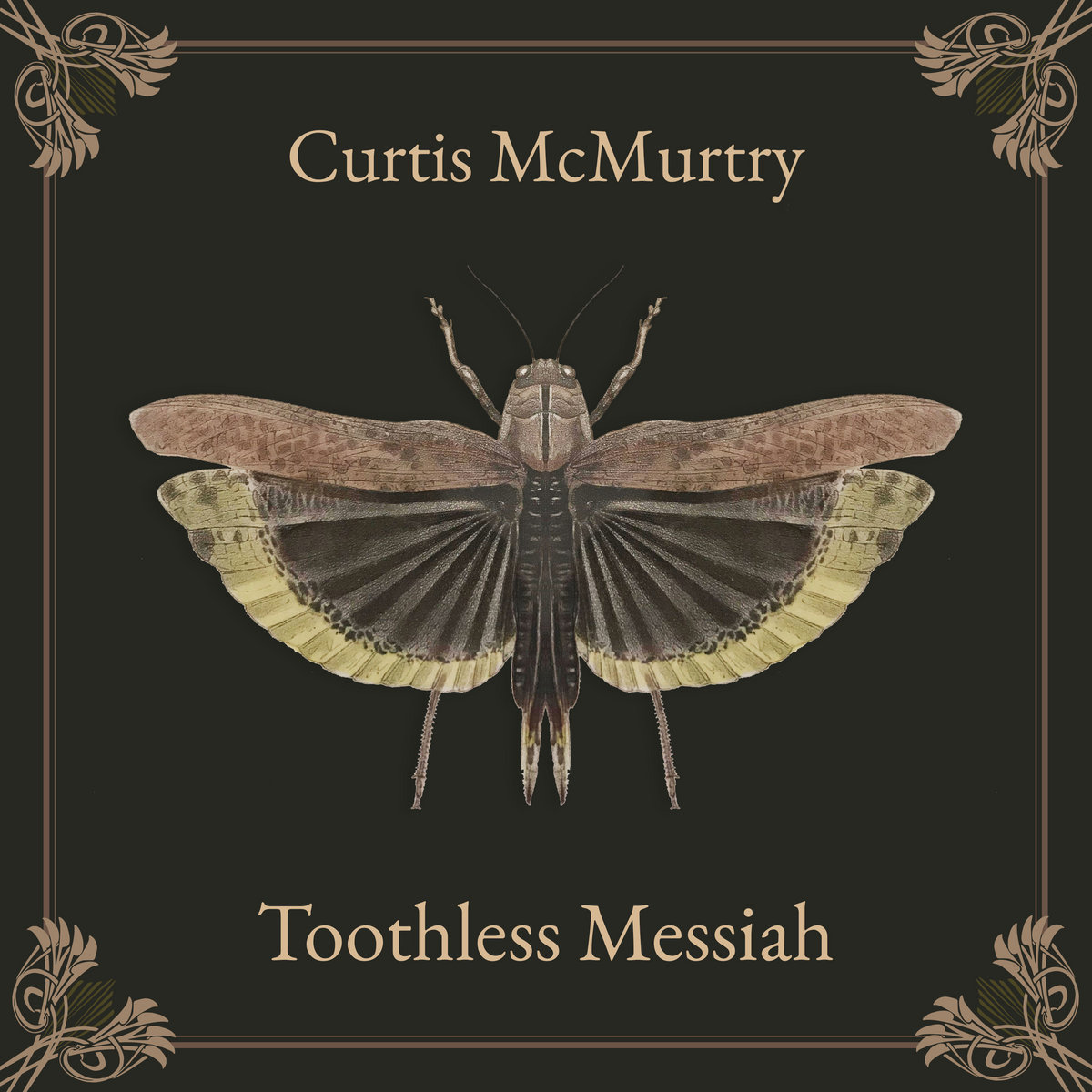 Curtis McMurtry Toothless Messiah album cover