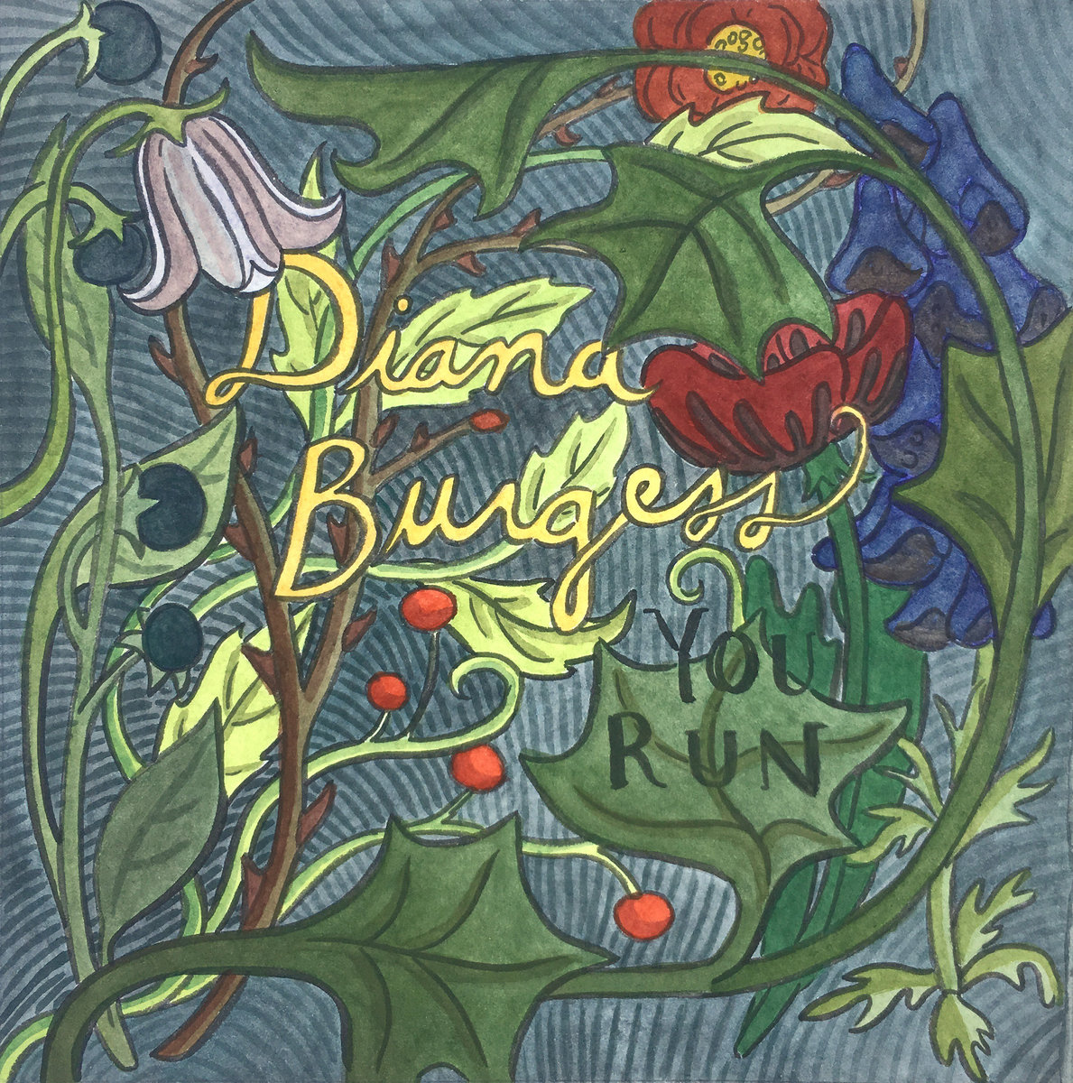Diana Burgess You Run album cover